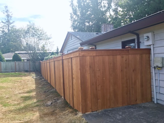 Fence Replacement