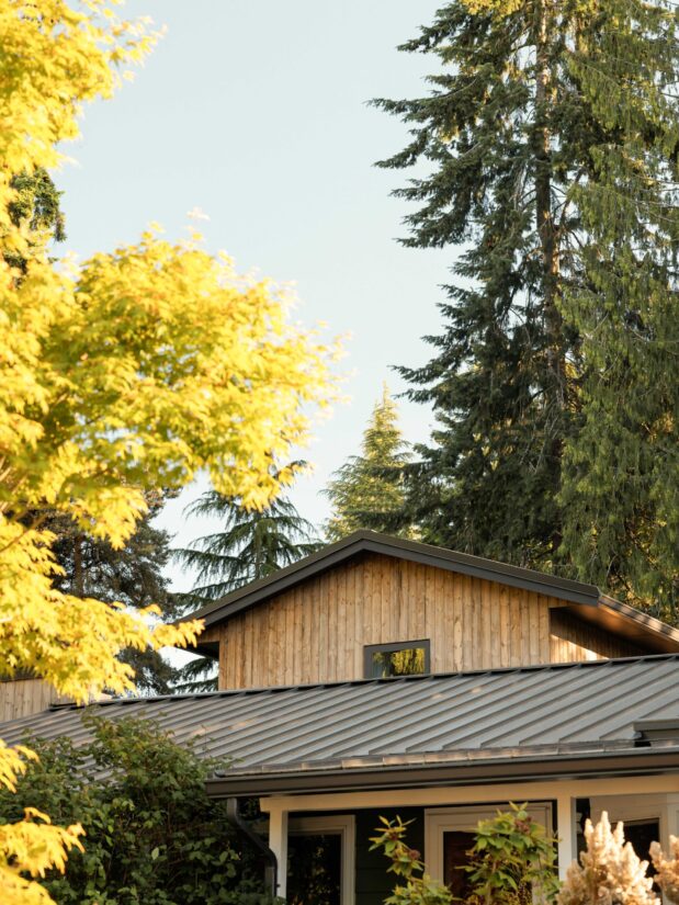 Modern wood-clad ADU exterior with metal roof in King County