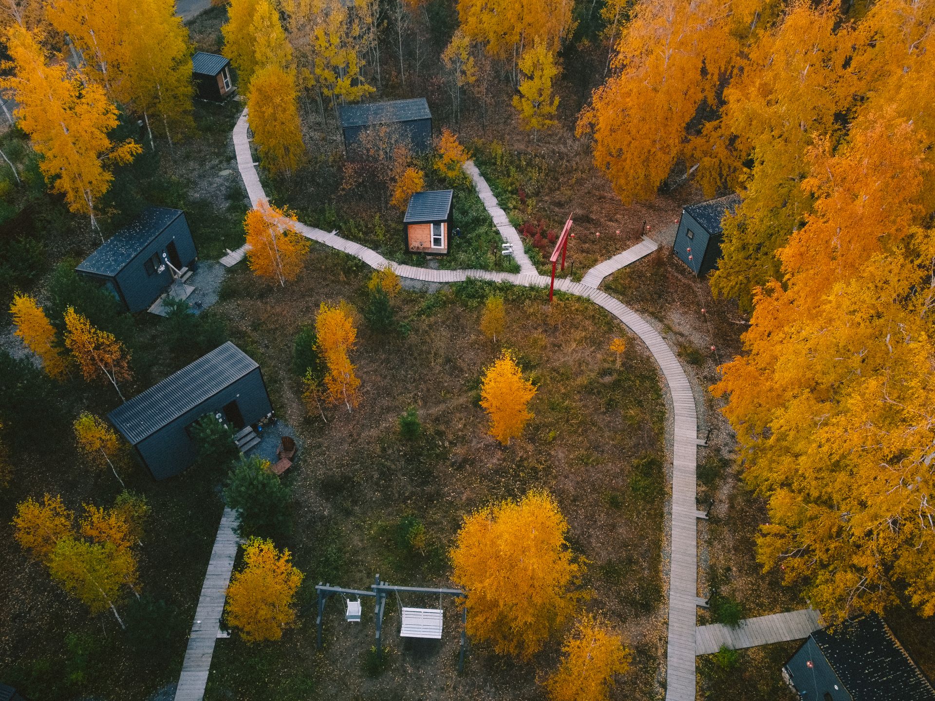Aerial view of a wooded lot with a home and multiple small ADU cabins connected by paths — one lot, multiple units in Northwest style